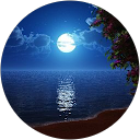 Home 13 Chijgxlirllbdkgrq3qvnlndwi4 023f32ddae77aff4623a134bf0f8ef53